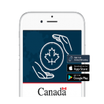 سامانه ArriveCAN