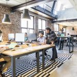 کار در هلند