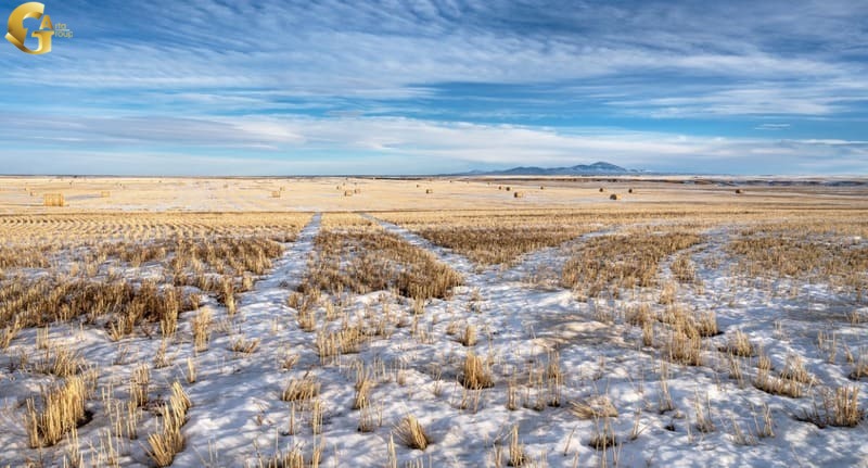 51-Migration to Alberta with the flow of rural renewal - immigrate to alberta-artajobs.com مهاجرت به آلبرتا با جریان نوسازی روستایی