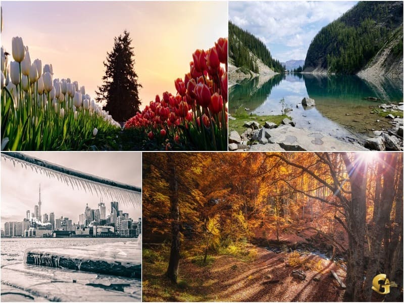 4-weather-immigrateToCanada-artajobs.com آب و هوای کانادا دلیلی برای مهاجرت به کانادا