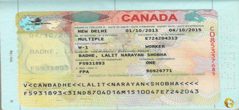 انواع ویزاهای کانادا؛ ویزای کار