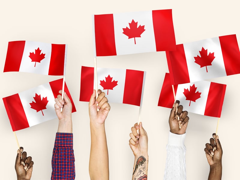 انتخاب برنامه مناسب مهاجرت به کانادا